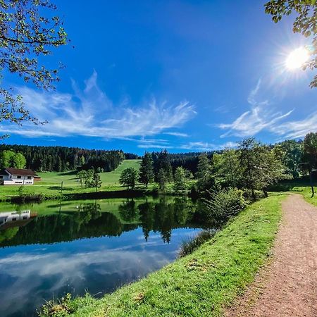 Ferienwohnung "Am Skilift" Herrischried Екстериор снимка