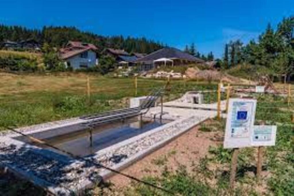 Ferienwohnung "Am Skilift" Herrischried Екстериор снимка