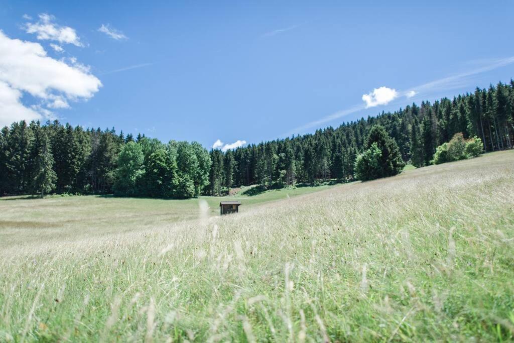 Ferienwohnung "Am Skilift" Herrischried Екстериор снимка