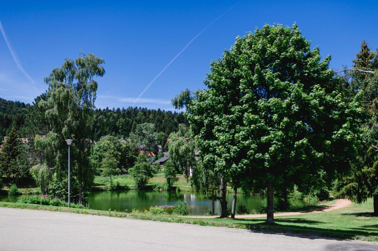 Ferienwohnung "Am Skilift" Herrischried Екстериор снимка