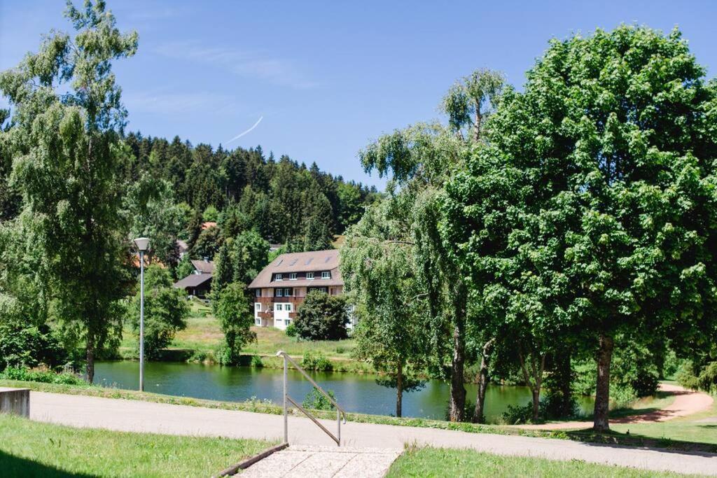 Ferienwohnung "Am Skilift" Herrischried Екстериор снимка