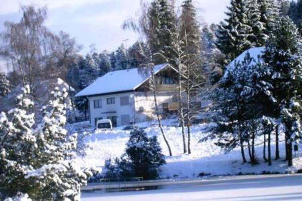 Ferienwohnung "Am Skilift" Herrischried Екстериор снимка