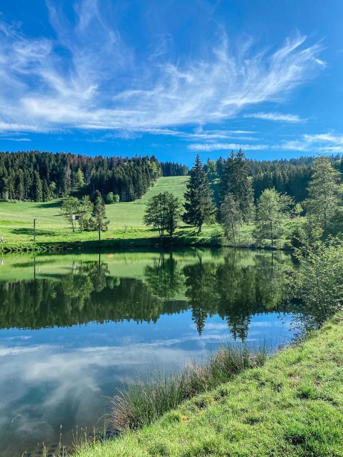 Ferienwohnung "Am Skilift" Herrischried Екстериор снимка