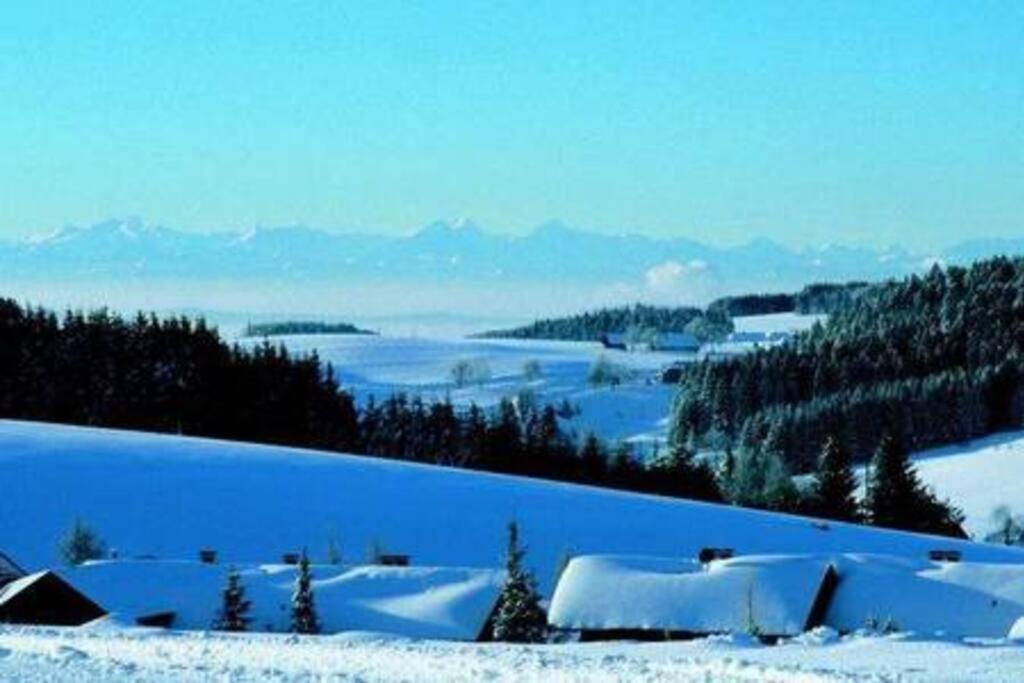 Ferienwohnung "Am Skilift" Herrischried Екстериор снимка