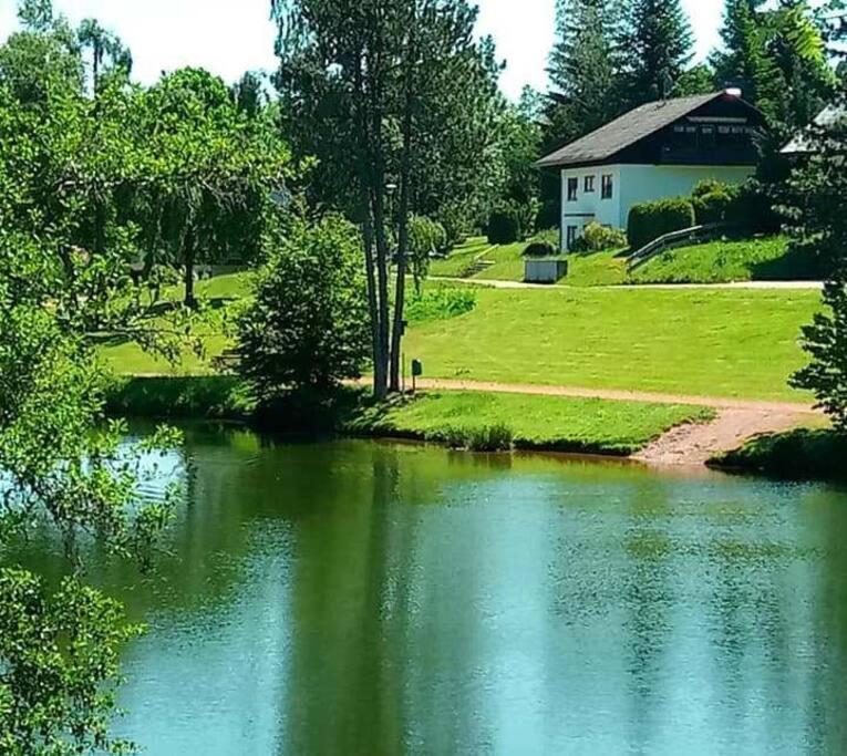 Ferienwohnung "Am Skilift" Herrischried Екстериор снимка