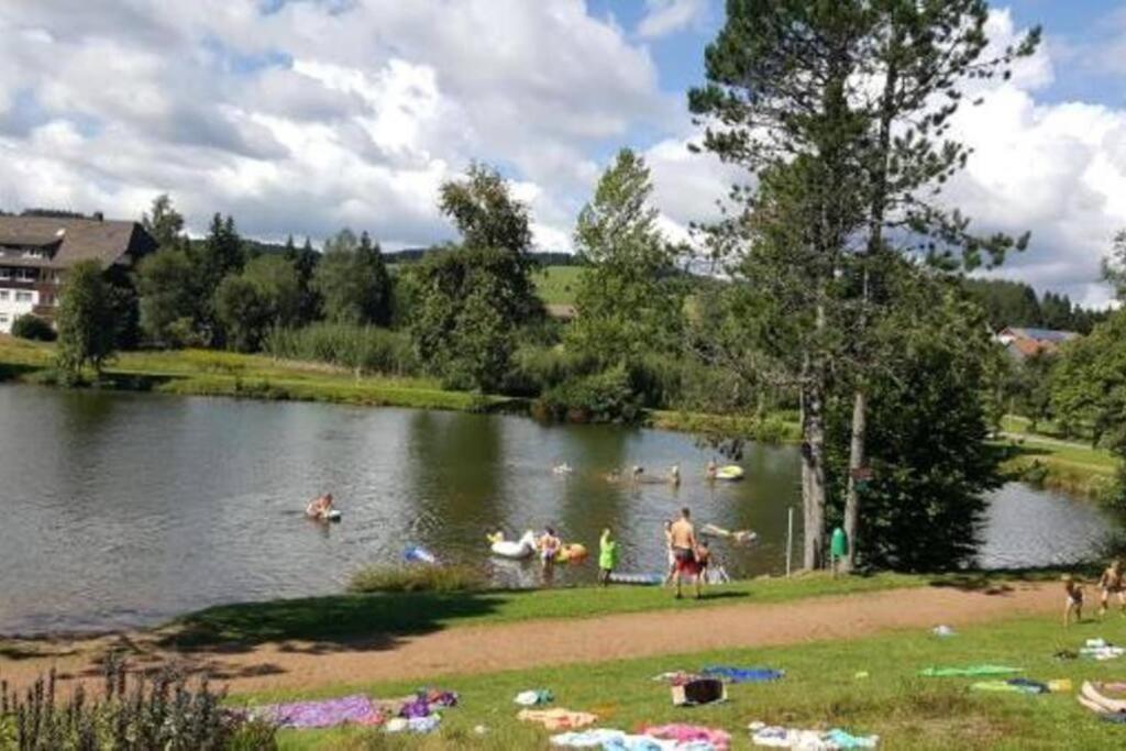 Ferienwohnung "Am Skilift" Herrischried Екстериор снимка